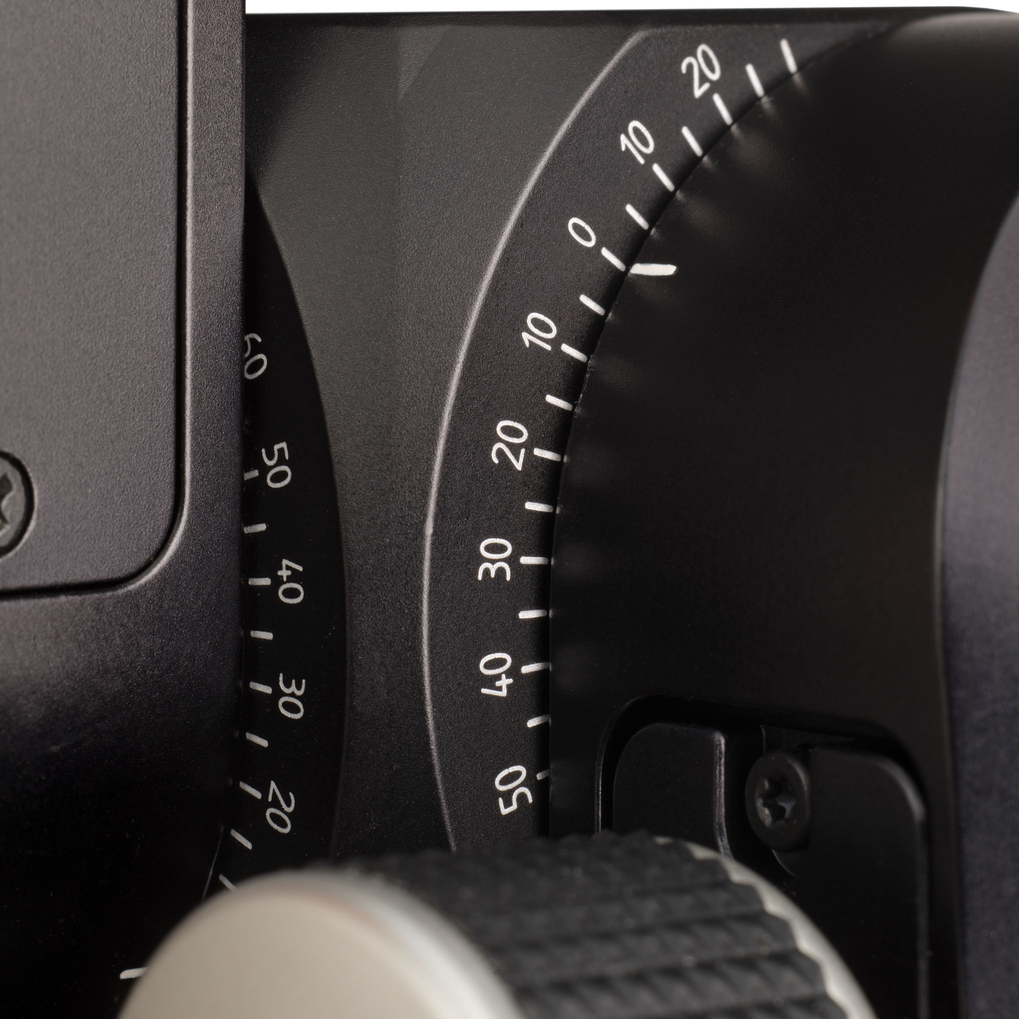 PCH_detail scales_s.jpg