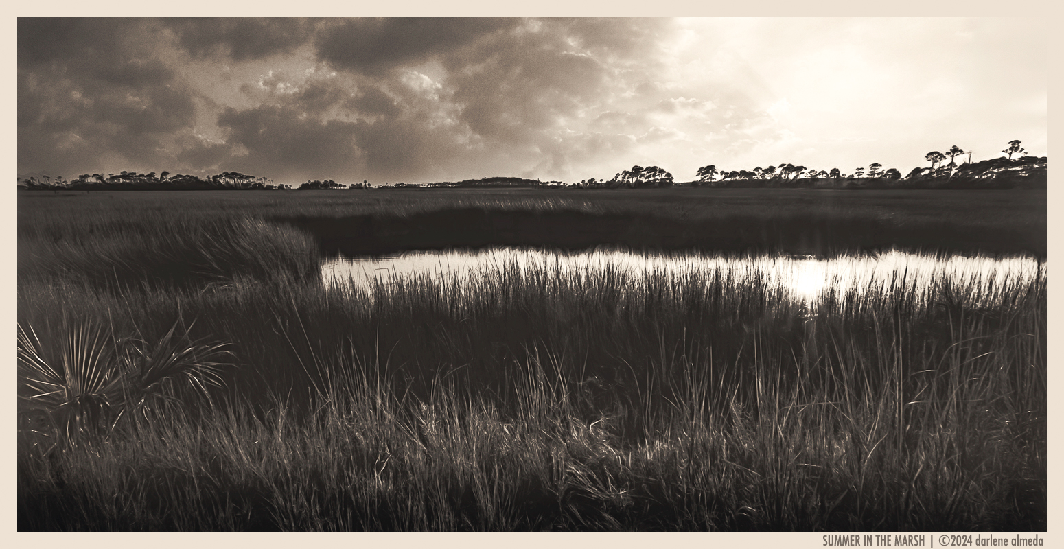 cambo-wide-650-2024_Summer in The Marsh.jpg cambo-wide-650-2024_Summer in The Marsh.jpg