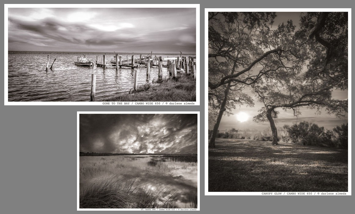 Darlene almeda_Analogue Black and White.jpg Darlene almeda_Analogue Black and White.jpg