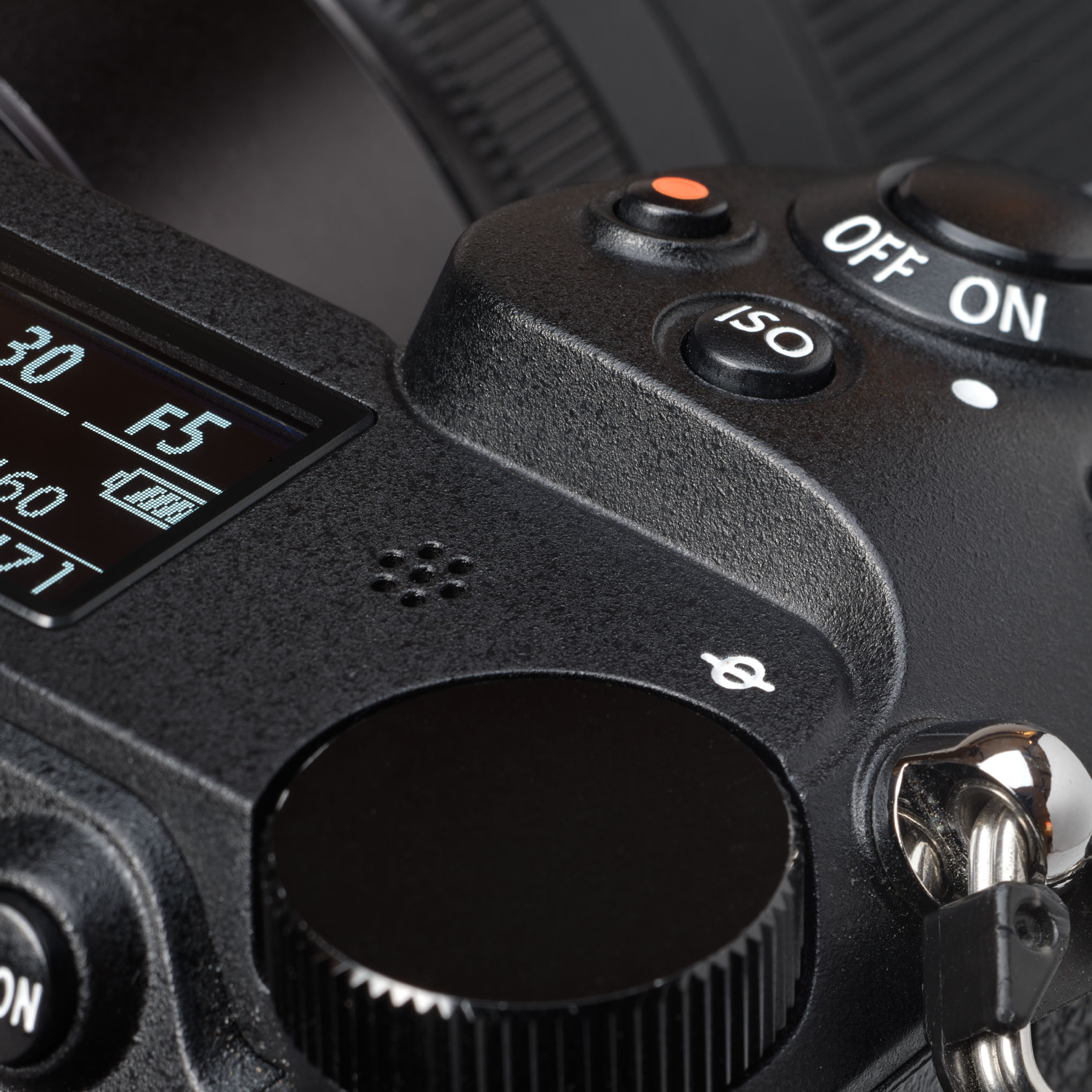 Detail Nikon Z7_sq.jpg